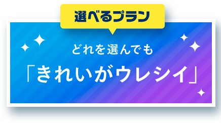 どれを選んでも「キレイがうれしい」